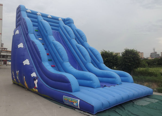 Inflatable उछालभरी कैसल स्लाइड के साथ ब्लू रंग कार्टून वर्ण मुद्रित