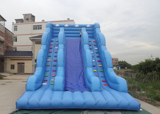 Inflatable उछालभरी कैसल स्लाइड के साथ ब्लू रंग कार्टून वर्ण मुद्रित