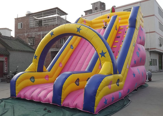 स्वनिर्धारित Inflatable आउटडोर खिलौने बच्चों के मनोरंजन के लिए लंबे समय स्लाइड प्रकार