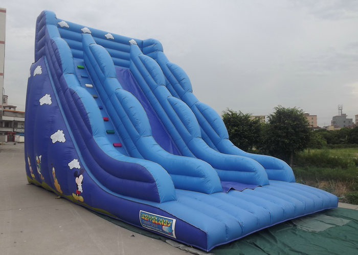 Inflatable उछालभरी कैसल स्लाइड के साथ ब्लू रंग कार्टून वर्ण मुद्रित